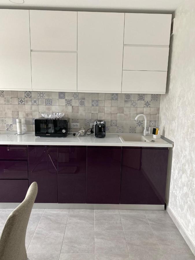Dina Lux Iasi Apartment Екстериор снимка